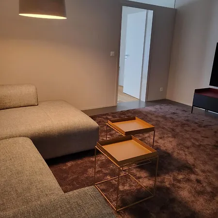 Modern Apartment Interlaken