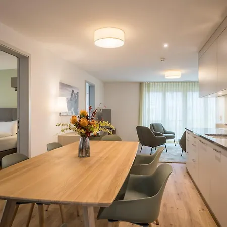 Modern Apartment Interlaken