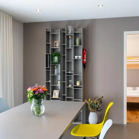 Modern Apartment Interlaken